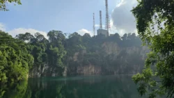 Bukit Timah Nature Reserve 3023730511