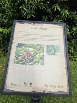 Singapore Botanic Gardens 1153636044