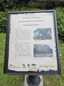 Singapore Botanic Gardens 1924509831
