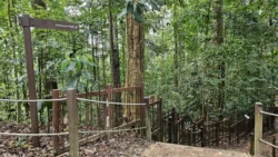 Bukit Timah Nature Reserve 2863319178