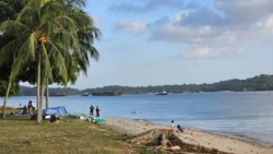 Changi Beach Park 20831356