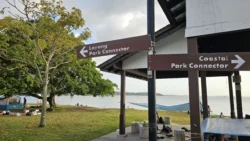 Changi Beach Park 432674456