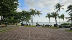 Changi Beach Park 91508355