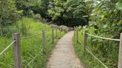 Rifle Range Nature Park 2223304968