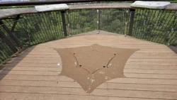 Rifle Range Nature Park 1921036179