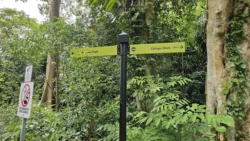 Rifle Range Nature Park 1046829466