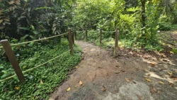 Rifle Range Nature Park 3864968322
