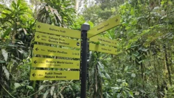 Rifle Range Nature Park 2347857490