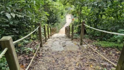 Rifle Range Nature Park 1912155227