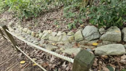 Rifle Range Nature Park 2453348591