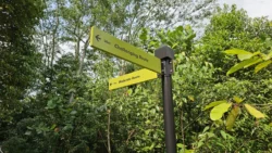 Rifle Range Nature Park 332461068
