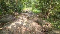 Rifle Range Nature Park 1213357367