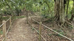 Rifle Range Nature Park 4277016829