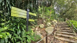 Rifle Range Nature Park 2022786020