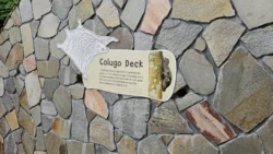 Rifle Range Nature Park 3459057198
