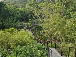 Singapore Botanic Gardens 956543701