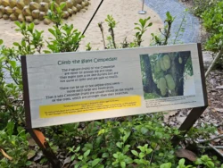 Singapore Botanic Gardens 4052559727