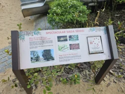 Singapore Botanic Gardens 2174513467