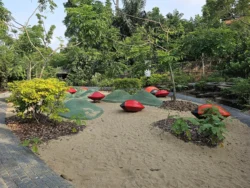 Singapore Botanic Gardens 3799808138