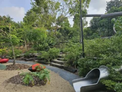 Singapore Botanic Gardens 1567112520