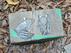 Singapore Botanic Gardens 3938023550