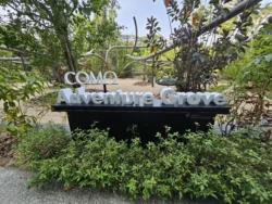 Singapore Botanic Gardens 879008265