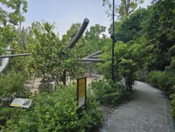 Singapore Botanic Gardens 638186012
