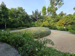 Singapore Botanic Gardens 1245209440