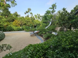 Singapore Botanic Gardens 868877886