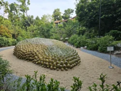 Singapore Botanic Gardens 897159760