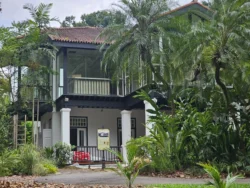 Singapore Botanic Gardens 83361976