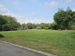 Singapore Botanic Gardens 2548513938