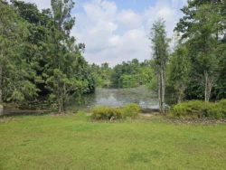 Singapore Botanic Gardens 3072021105
