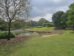 Singapore Botanic Gardens 3712175222