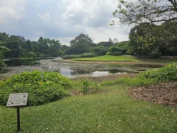 Singapore Botanic Gardens 3122877382