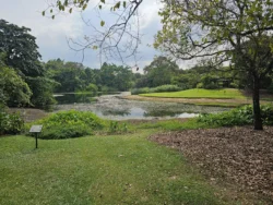 Singapore Botanic Gardens 4154936016