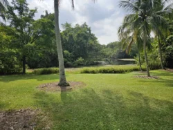 Singapore Botanic Gardens 4112133485