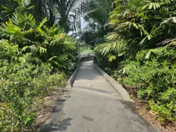 Singapore Botanic Gardens 3097375867