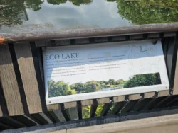 Singapore Botanic Gardens 1463955935