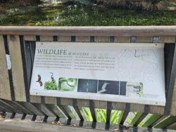 Singapore Botanic Gardens 449194185