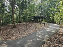 Singapore Botanic Gardens 653052205