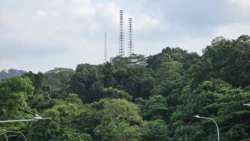 Rifle Range Nature Park 2040458464
