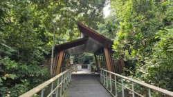 Rifle Range Nature Park 2499776249