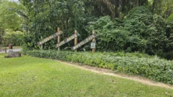 Bukit Batok Nature Park 3005071827