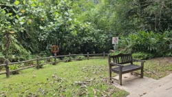 Bukit Batok Nature Park 3027889428