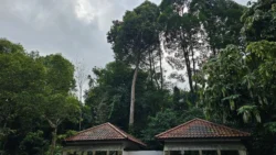Bukit Batok Nature Park 4128321726