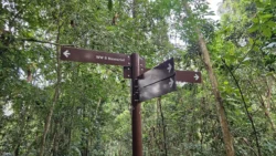 Bukit Batok Nature Park 2386818953