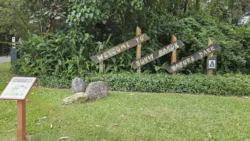 Bukit Batok Nature Park 1905038978