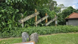 Bukit Batok Nature Park 545678439