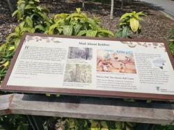 Singapore Botanic Gardens 960164454